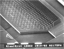 Th 0505vsdsnap 3 Th 0505vsdsnap 3