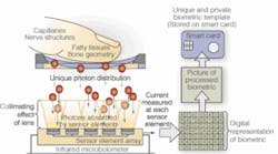 Th 0506vsd Trends3a Th 0506vsd Trends3a