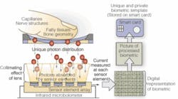 Th 0506vsd Trends3a Th 0506vsd Trends3a