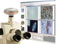 Th 0509vsd Newproducts13 Th 0509vsd Newproducts13