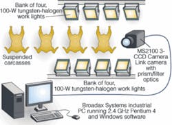 Th 0510vsd Profile03 Th 0510vsd Profile03
