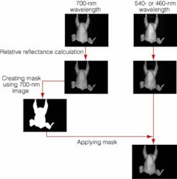 Th 0510vsd Profile04 Th 0510vsd Profile04