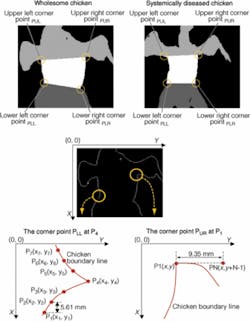 Th 0510vsd Profile05 Th 0510vsd Profile05