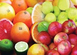 Th 0510vsd Snapshot02 Th 0510vsd Snapshot02