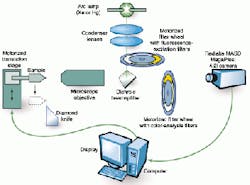 Th 0601trends2 1 Th 0601trends2 1