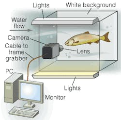 Th 0601vsd Feature04 02 Th 0601vsd Feature04 02