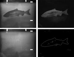 Th 0601vsd Feature04 03 Th 0601vsd Feature04 03