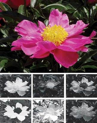 Understanding color machine vision | Vision Systems Design