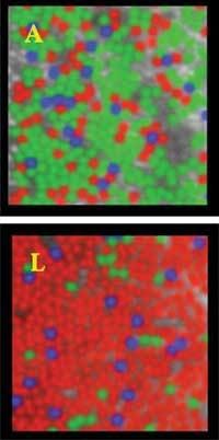 Th 0604vsd Snapshot02v Th 0604vsd Snapshot02v