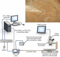 Th 0608vsd Trends01 Th 0608vsd Trends01