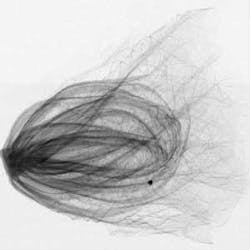 Th 0609vsd Snap01 Th 0609vsd Snap01