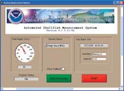 Th 0611vsd Scallop04 Th 0611vsd Scallop04