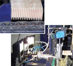 Th 0612vsd Forestry01 Th 0612vsd Forestry01