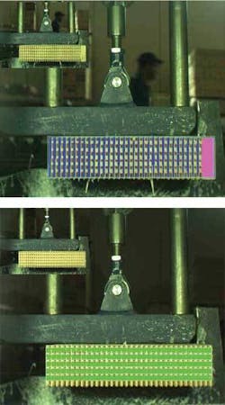 Th 0612vsd Forestry03 Th 0612vsd Forestry03