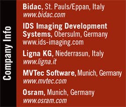 Th 0612vsd Forestryt1 Th 0612vsd Forestryt1