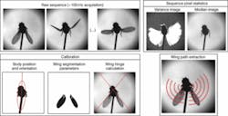 Th 0702vsd Trends01 Th 0702vsd Trends01