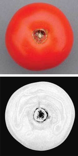 Th 0703vsd Introduction01 Th 0703vsd Introduction01