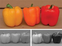 Th 0706vsd Component01 Th 0706vsd Component01