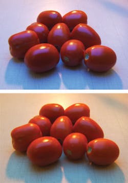 Th 0706vsd Component03 Th 0706vsd Component03