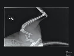 Th 0707vsd Trends04 Th 0707vsd Trends04