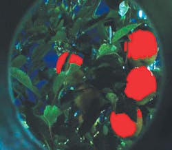 Th 0708vsd Profile05 Th 0708vsd Profile05