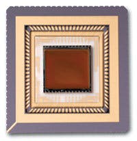 Th 0710vsd Newproducts02 Th 0710vsd Newproducts02