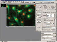 Th 0710vsd Newproducts05 Th 0710vsd Newproducts05