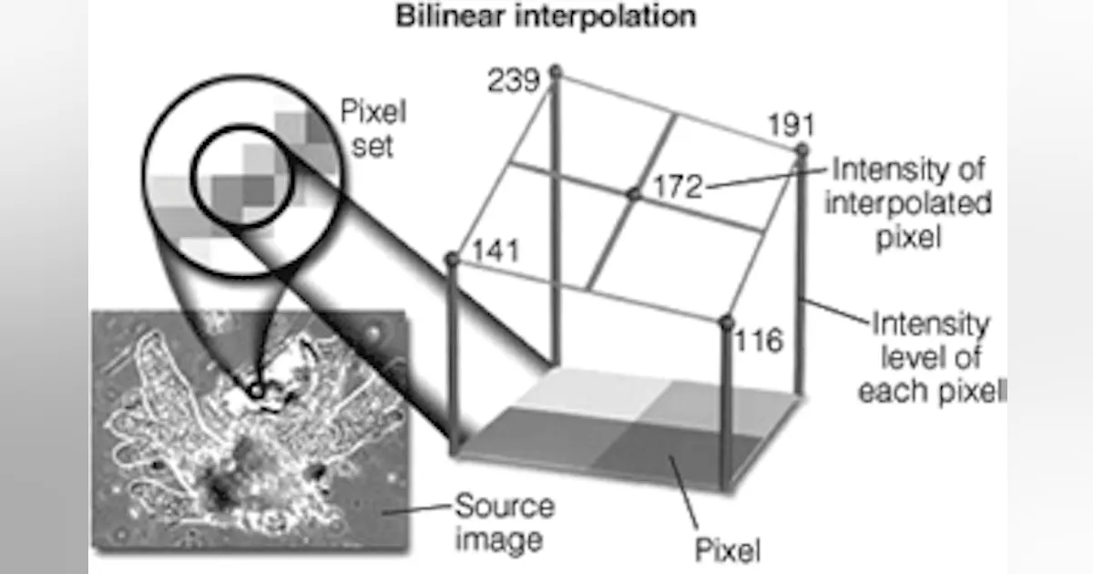 Understanding image-interpolation techniques | Vision Systems Design