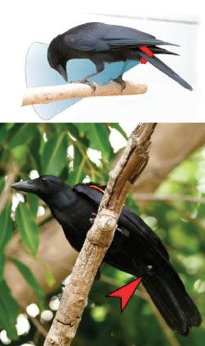 Th 0711vsd Snapshot01