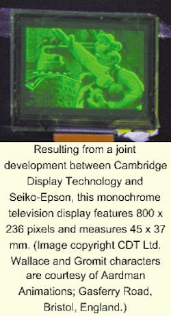 Th 0800news5 Th 0800news5