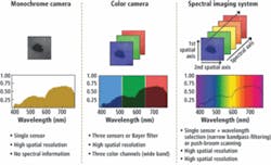 Th 0803vsd Under02 Th 0803vsd Under02