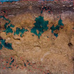 Th 0804vsd Snapshot01 Th 0804vsd Snapshot01