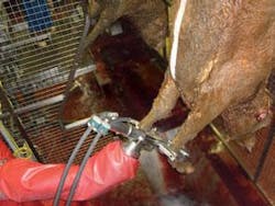 Th 0805vsd Iap04 Th 0805vsd Iap04