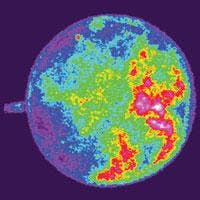 Th 0805vsd Snapshots01 Th 0805vsd Snapshots01