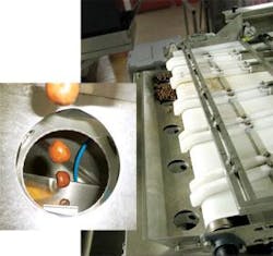 Th 0806vsd Profile02 Th 0806vsd Profile02