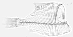 Th 0808vsd Snapshot04 Th 0808vsd Snapshot04