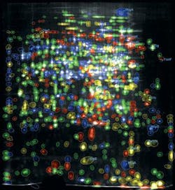 Th 0808vsd Spotlightsb1 Th 0808vsd Spotlightsb1