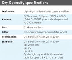 Th 0808vsd Spotlightt1 Th 0808vsd Spotlightt1