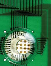 Th 0809vsd Snapshot04 Th 0809vsd Snapshot04