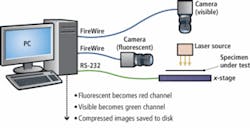 Th 0810vsdnewsf3 Th 0810vsdnewsf3