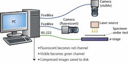 Th 0810vsdnewsf3 Th 0810vsdnewsf3
