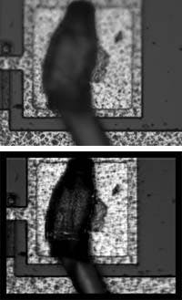 Th 1100focus4 Th 1100focus4