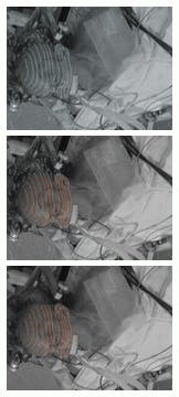 Th 1199feat1 5 Th 1199feat1 5