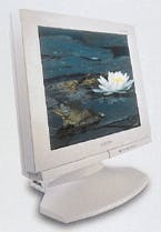 Th 1199focus5 Th 1199focus5