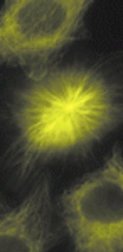 Th 1199inside Th 1199inside