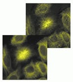 Th 1199news1 Th 1199news1