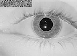 Th 1199spot1 Th 1199spot1