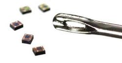 Th News Fig5b 0901vsd Th News Fig5b 0901vsd