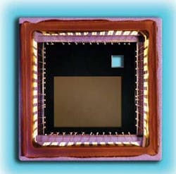 Th Open 0812vsd Th Open 0812vsd