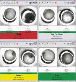 Th Pg35 0905vsd Th Pg35 0905vsd